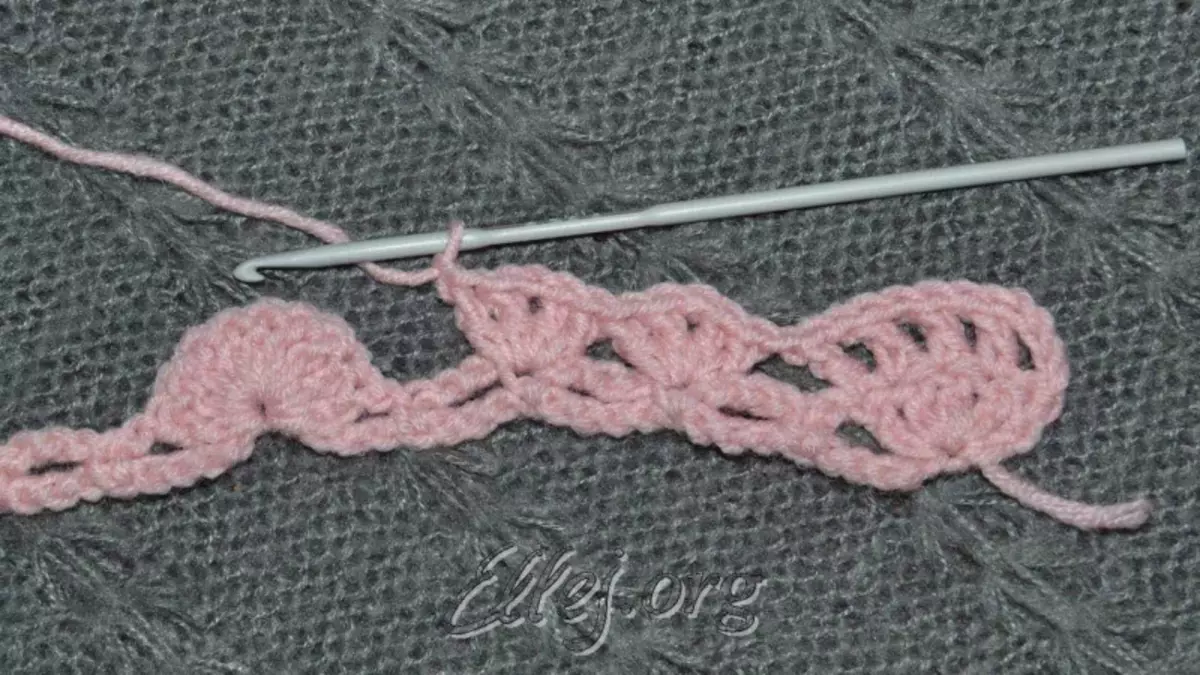 Crochet, uburyo bwo koga bwo koga: icyiciro cya Master hamwe nifoto na videwo