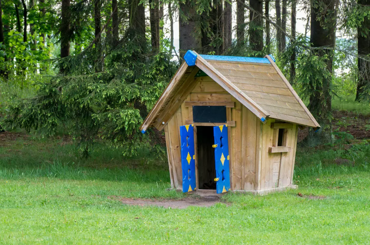 Comment faire une maison pour les jeux pour enfants dans la région de la campagne? [Idées inhabituelles]