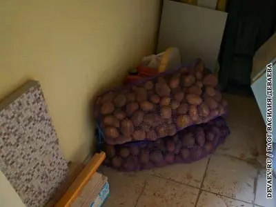 Caseta de depozitare a cartofilor de casă făcută