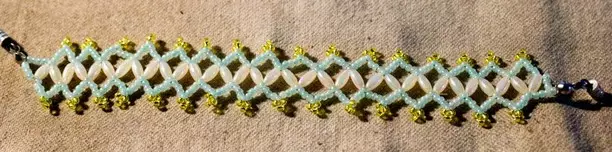 Video Beadwork for Beginners: Master Class med Video Tutorials