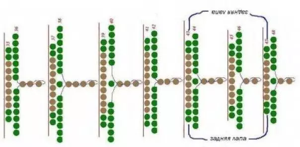 Bead-iň aagondarhany nädip bokurdagy basyp almaly: Suratlar we wideo bilen başlangyçlar üçin shema