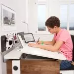 موقع SchoolBoy مكان العمل: 4 أفكار تصميم