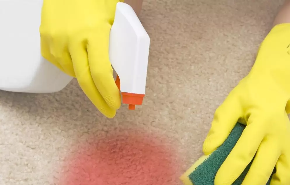 如何清理血液的地毯