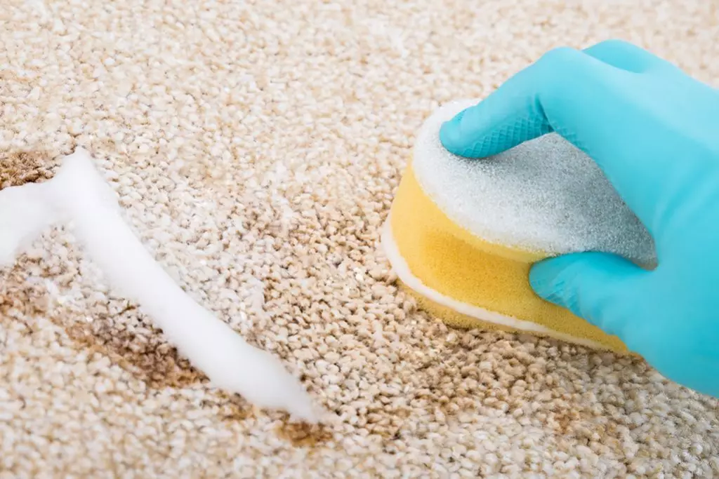 כיצד לנקות את השטיח כתמי קפה