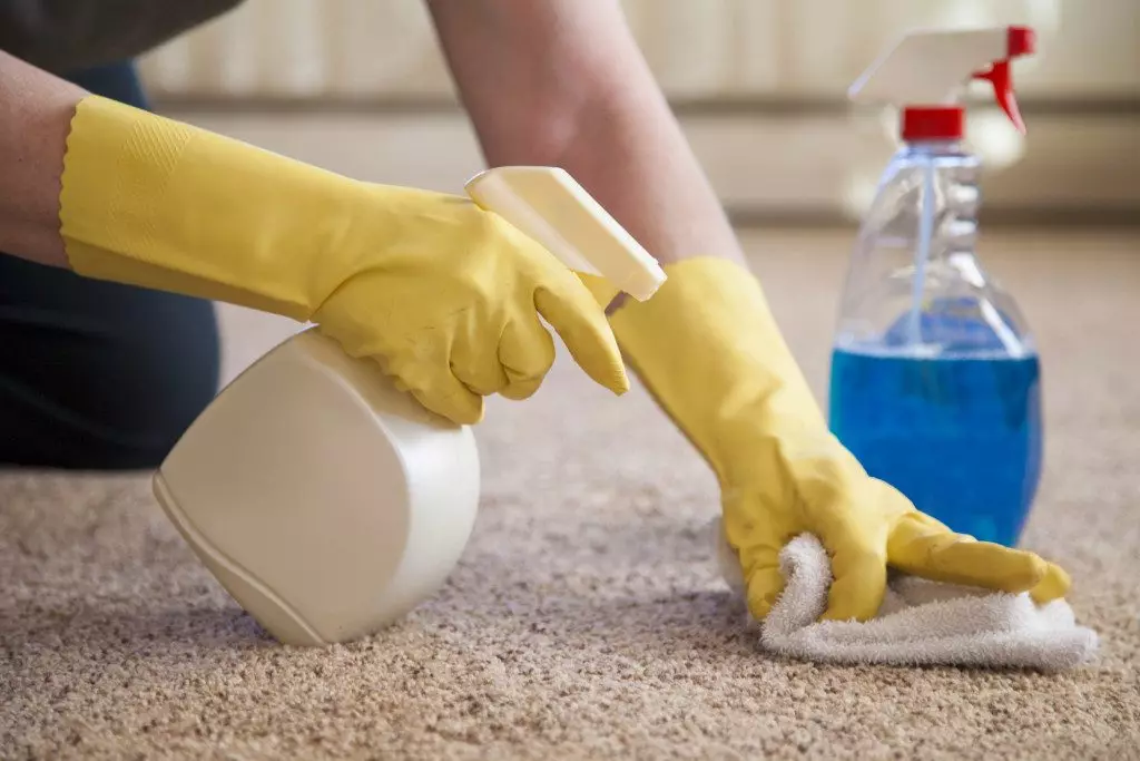 Kako očistiti tepih iz mrlja, žvakanja, žive ili kose (efektivnih načina)