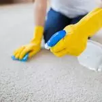 Kako očistiti tepih iz mrlja, žvakanja, žive ili kose (efektivnih načina)