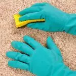 Làm thế nào để làm sạch thảm khỏi vết bẩn, nhai, thủy ngân hoặc tóc (cách hiệu quả)
