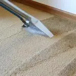 כיצד לנקות את השטיח מן הכתמים, לעיסה, כספית או שיער (דרכים יעילות)