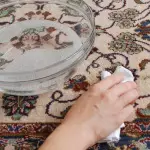如何清理污渍，咀嚼，汞或头发的地毯（有效方式）