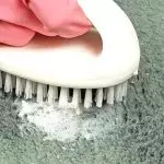如何清理污渍，咀嚼，汞或头发的地毯（有效方式）