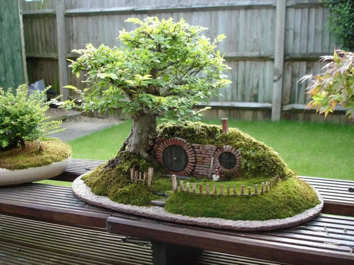 Nivaki da Lambun Bonsai: wani yanki na Japan a lambun ku (35 Photos)