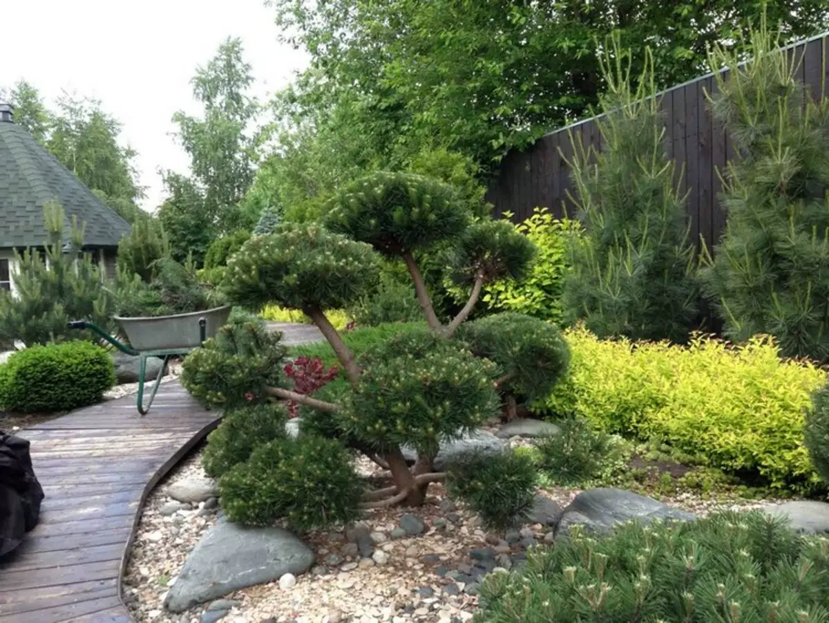 Nivaki và Vườn Cây cảnh: Một mảnh Nhật Bản sống trong khu vườn của bạn (35 ảnh)