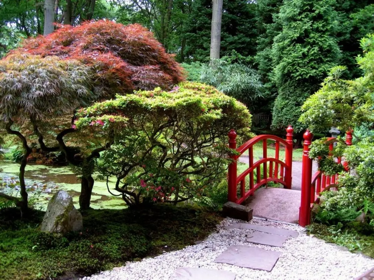 Nivaki in vrt Bonsai: kos v živo Japonska na vašem vrtu (35 fotografij)