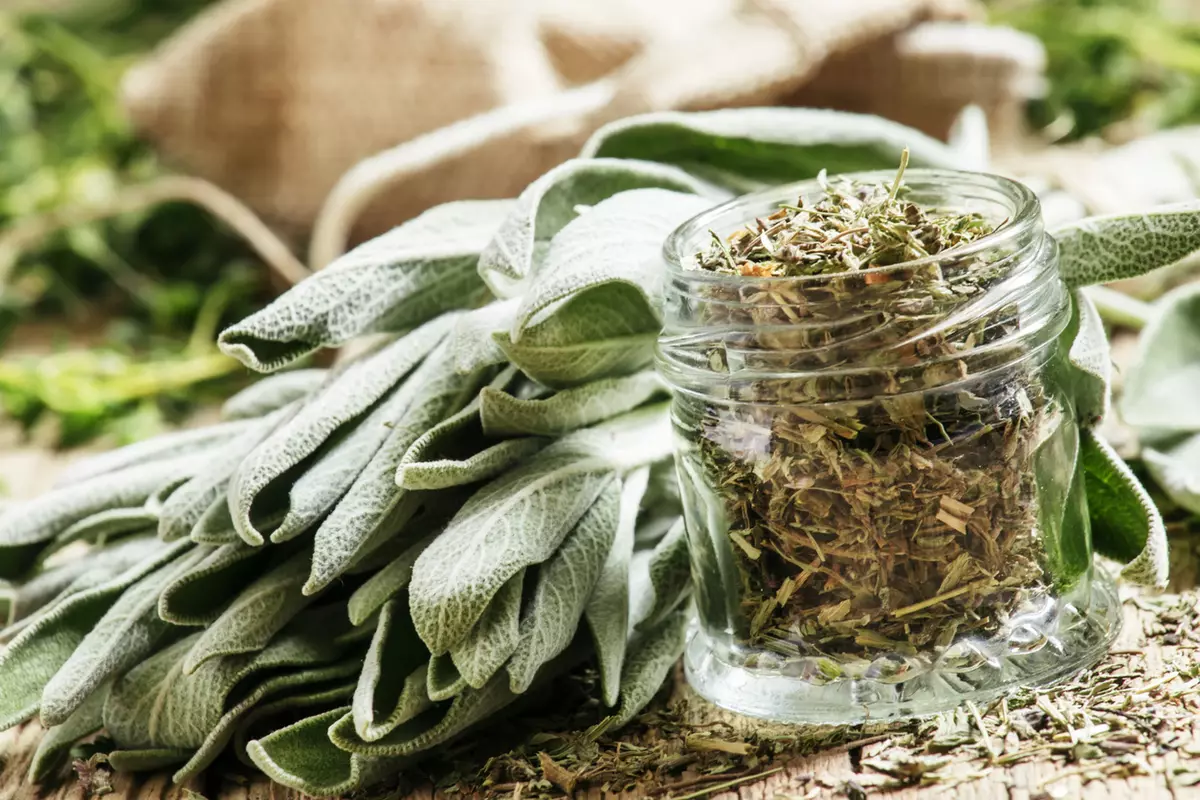 Hvordan lagrer du urter og te stilig?
