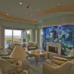 Aquari a l'interior de la llar: variacions sobre el tema de l'exòtic marí