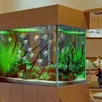 Aquarium yn it hûs ynterieur: fariaasjes op it ûnderwerp fan marine eksoatysk