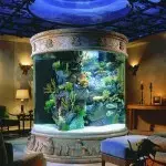 Aquarium în interiorul domiciliului: Variații pe subiectul exoticului marin