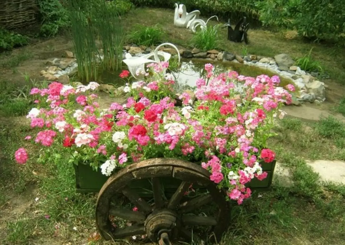 သင်၏ကိုယ်ပိုင်လက်ဖြင့်လှပသောအိမ်တွင်း - ဥယျာဉ်နှင့်အိမ်အတွက်ဒီဇိုင်းများကိုဒီဇိုင်းများ (ဓာတ်ပုံ 48)