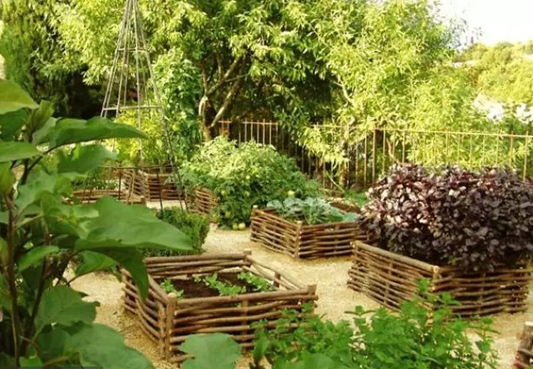 Bonica casa rural amb les teves mans: idees de decoració per a jardí i casa (48 fotos)