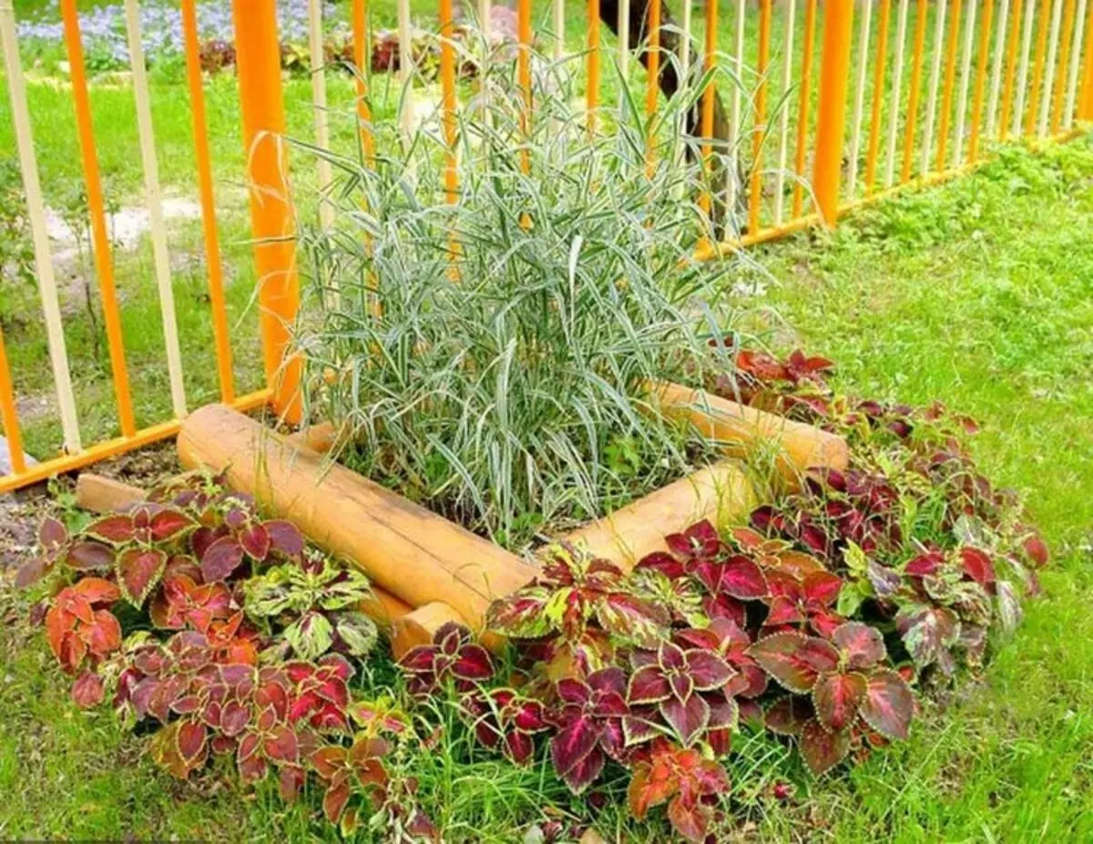 Bonica casa rural amb les teves mans: idees de decoració per a jardí i casa (48 fotos)