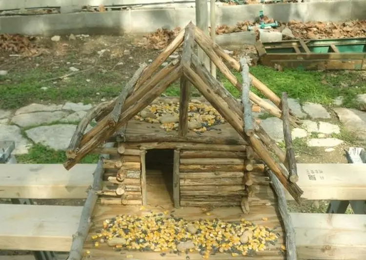 Bonica casa rural amb les teves mans: idees de decoració per a jardí i casa (48 fotos)