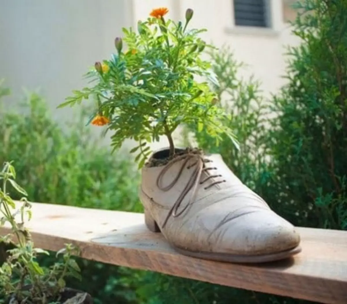 자신의 손으로 아름다운 별장 : 정원과 집에 대한 장식 아이디어 (48 사진)