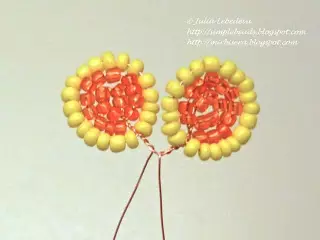 Beaded Velvets: Weaving Scheme thiab Master chav kawm nrog cov duab thiab Video