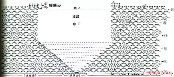 Awọn awo idana eso ooru Crochet fun eti okun fun awọn aboyun pẹlu awọn abo pẹlu awọn aworan ati awọn fọto