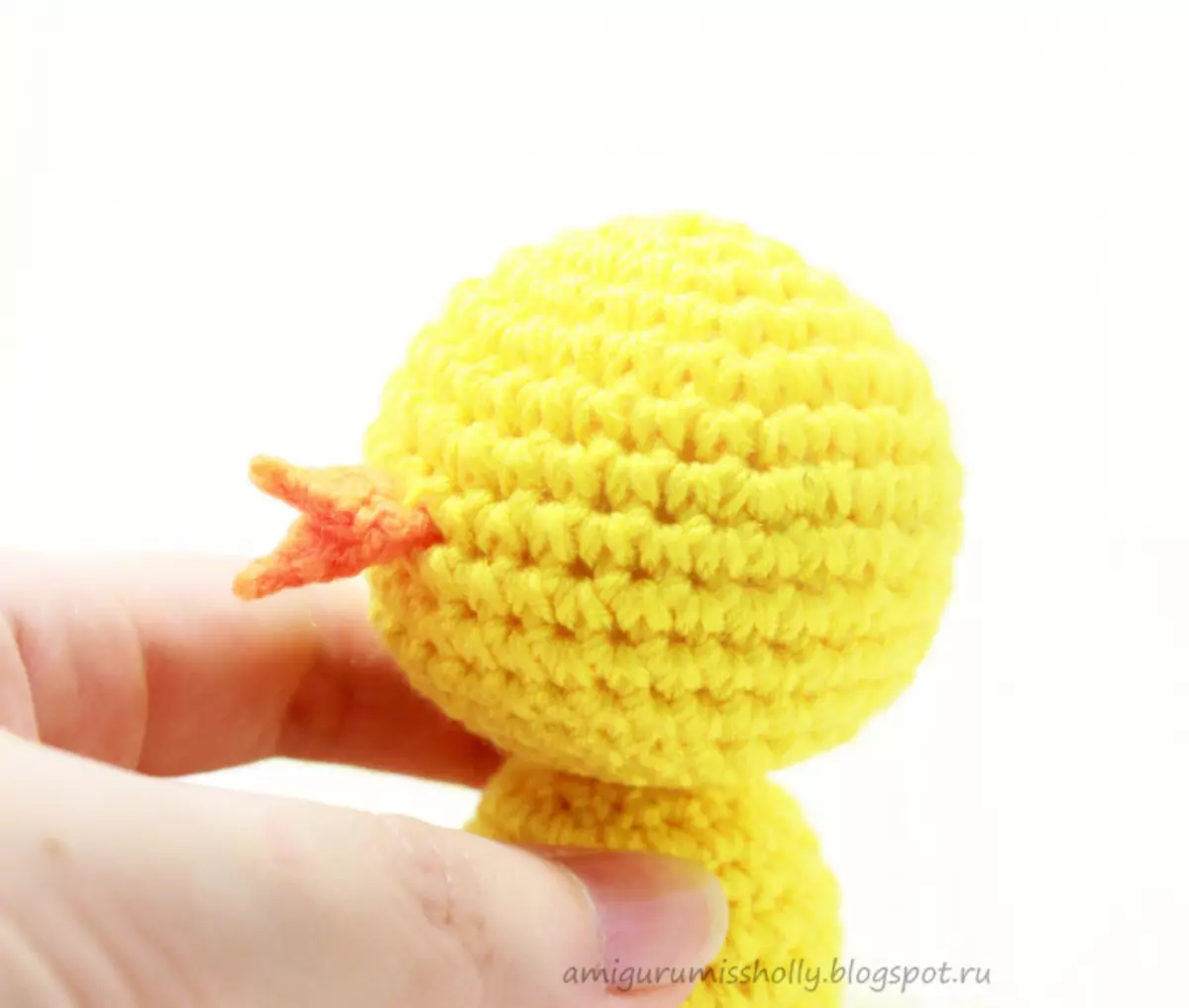 Crochet di pollo master class per principianti con foto e video