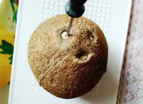 Hvordan man vælger, rengør og gem kokosnød