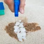 Cara ngilangi Plastikin saka Karpet tanpa tilak: cara lan rekomendasi kanggo ngresiki