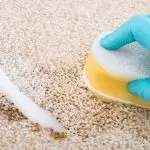 추적없이 카펫에서 plasticine을 제거하는 방법 : 청소를위한 간단한 방법 및 권장 사항