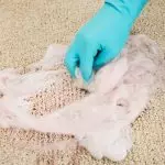 Cara ngilangi Plastikin saka Karpet tanpa tilak: cara lan rekomendasi kanggo ngresiki