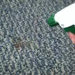 Sådan fjerner du plastik fra gulvtæppet uden spor: enkle metoder og anbefalinger til rengøring