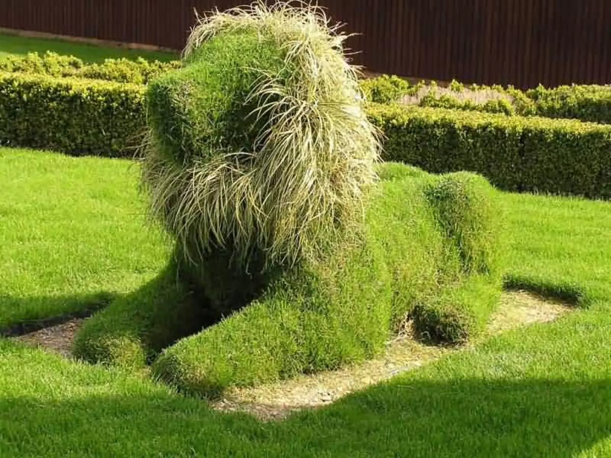 Tuinsculpturen van planten met hun eigen handen