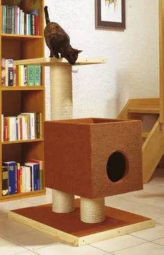 Casa, Cattettie per il gatto Fatelo da solo (foto, master class, disegni)
