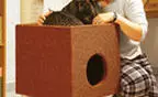 Къща, Катети за котката Направете го сами (снимка, майсторски клас, рисунки)