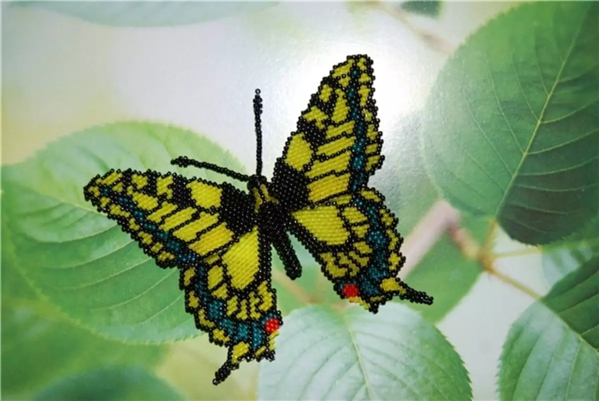 Як зробити метелика з бісеру: покрокова інструкція з фото і відео