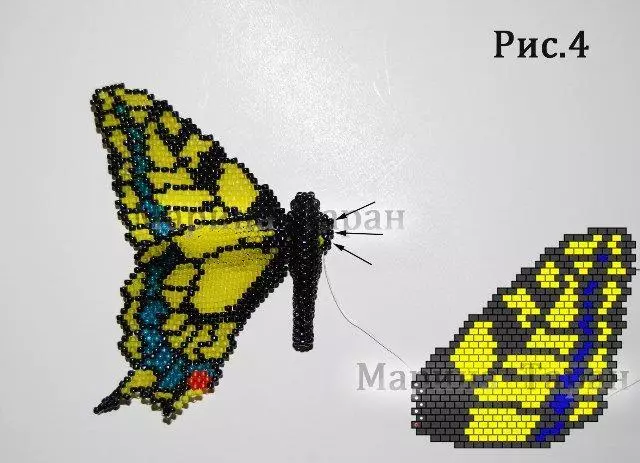 Hur man gör en fjäril från pärlor: Steg-för-steg-instruktioner med foton och videoklipp
