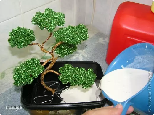 Beaded bonsai: korak za korakom navodila s fotografijami po korakih in video