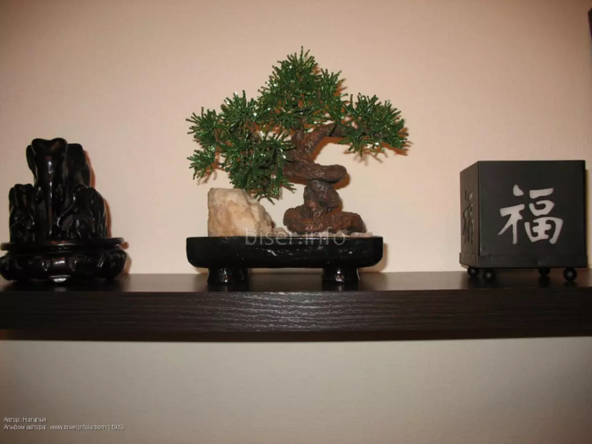 Bonged bonsai: қадам ба қадам ба қадам бо аксҳои қадам ва видео