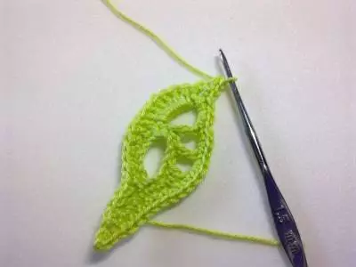 Daun crochet sareng skéma: kelas master sareng katerangan sareng pidéo