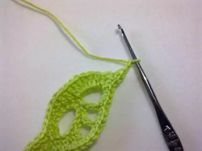 Crochet leaf nga adunay usa ka laraw: Master Class uban ang paghulagway ug video