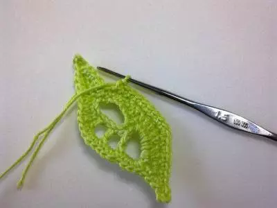 Crochet Leaf ine chirongwa: Master kirasi ne tsananguro uye vhidhiyo