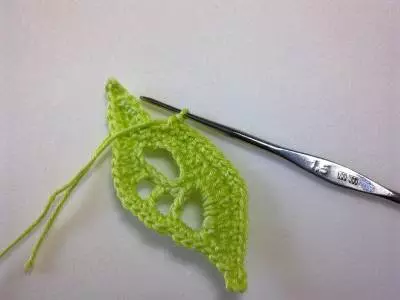 Fulles de crochet amb un esquema: classe magistral amb descripció i vídeo