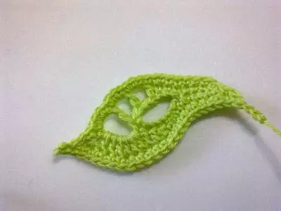 Crochet leaf nga adunay usa ka laraw: Master Class uban ang paghulagway ug video