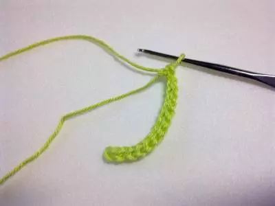Fulles de crochet amb un esquema: classe magistral amb descripció i vídeo