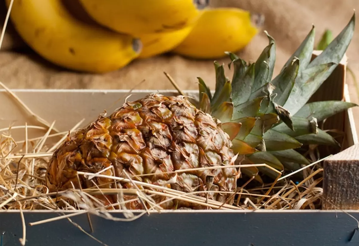 Kje ohraniti ananas doma, da je odmerka