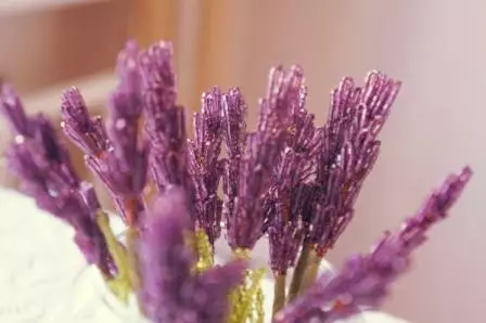 Kelas induk pada lavender manik dengan skim dan video