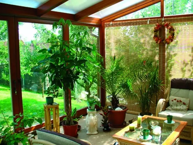 Medinės verandos interjero idėjos (50 nuotraukų)